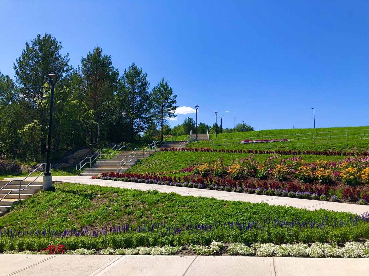 HeyItsMeMissJT's tweet photo. Happy Thursday! #GetUpGetOut One of my favourite places to workout in the city. #BellPark #Sudbury #OutdoorFitness #KillerCardio #StairMaster #Drills #StepItUp #SweatItOut #RunIt #LegDay โ๏ธ๐ฒ๐๐ฆ๐ฅ https://t.co/U5KYxeXy87