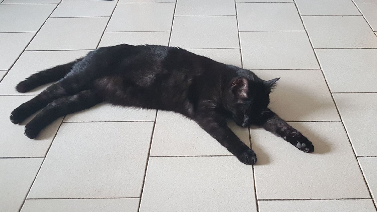 OmegaCat4's tweet image. Cramicule, bientôt la fin ?