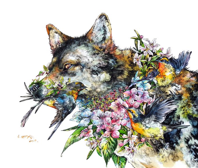 「国際オオカミの日」 illustration images(Latest))
