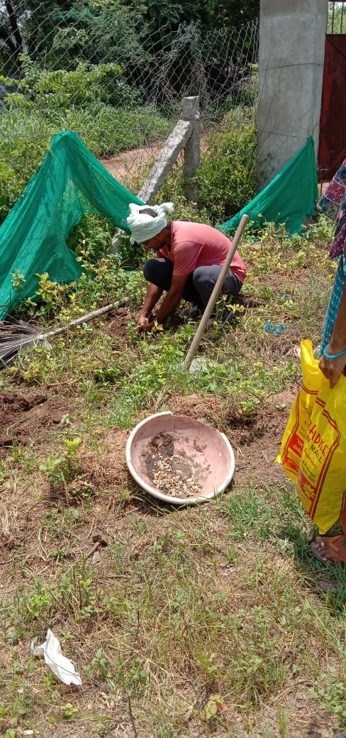 WOTRIndia's tweet photo. Plantation of #moringa (drumstick tree) seeds in #Manchal, #Telangana. The plantation of moringa is promoted in 10 villages in Manchal block under the HSBC project.
@HSBC_IN @NABARDOnline @DaminiKhaire @UNCCD
@UNCCDLibrary @AgriGoI @ibrahimthiaw @mremae @UNBiodiversity @moefcc https://t.co/yQJpdyjjr3