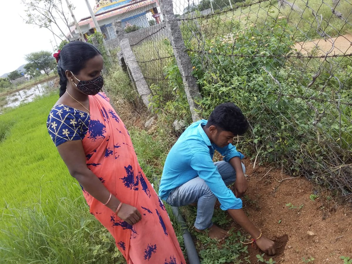 WOTRIndia's tweet photo. Plantation of #moringa (drumstick tree) seeds in #Manchal, #Telangana. The plantation of moringa is promoted in 10 villages in Manchal block under the HSBC project.
@HSBC_IN @NABARDOnline @DaminiKhaire @UNCCD
@UNCCDLibrary @AgriGoI @ibrahimthiaw @mremae @UNBiodiversity @moefcc https://t.co/yQJpdyjjr3