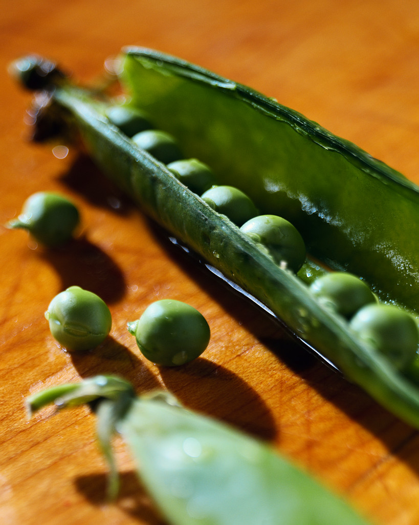 Food First NL tweet media