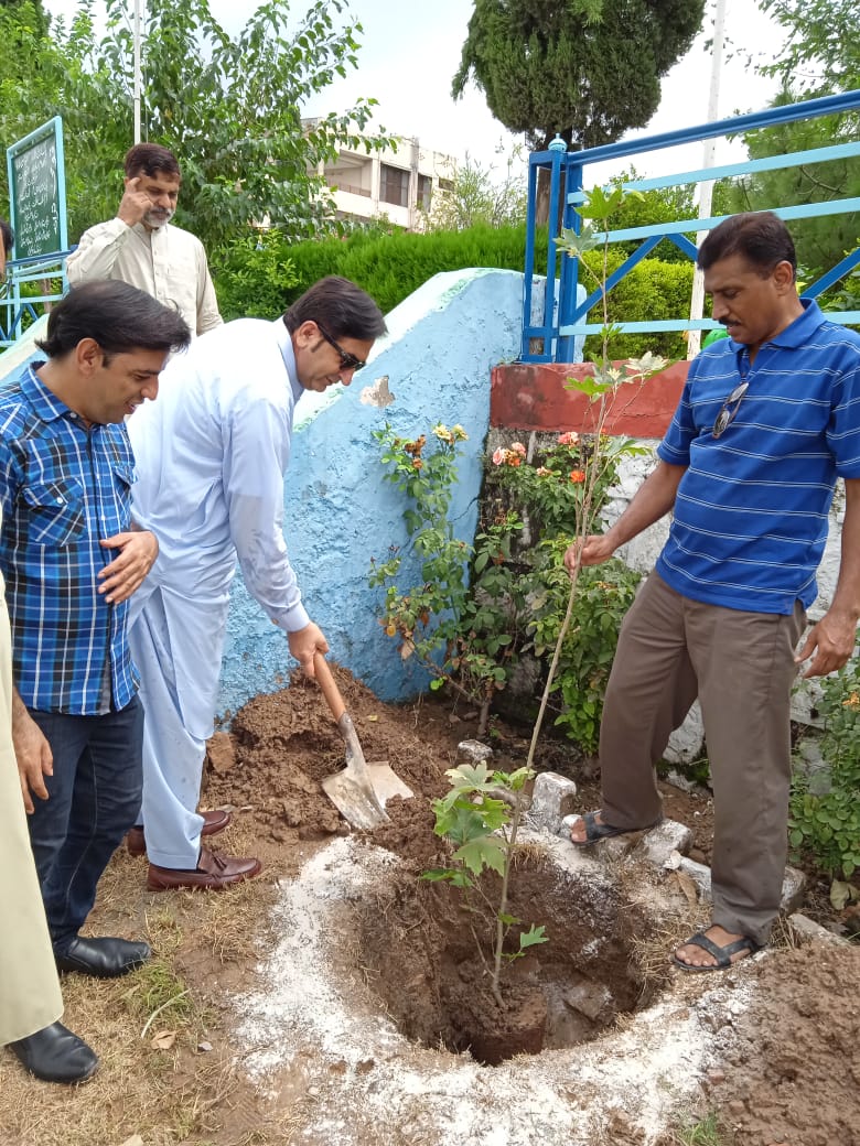 Make_Pak_Green's tweet photo. What you plant now, you will harvest later. Devoted and passionate Member of Make Pakistan Green Mr. Khalid Rasheed planted trees in  Rawalpindi. His love for nature is known.
Team MPG acknowledges and appreciate the efforts of Mr. Khalid Rasheed.
#PlantforPakistan #GreenPakistan https://t.co/jhzKTQDhOE