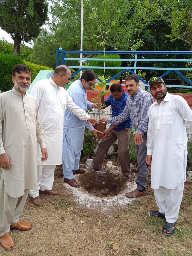 Make_Pak_Green's tweet photo. What you plant now, you will harvest later. Devoted and passionate Member of Make Pakistan Green Mr. Khalid Rasheed planted trees in  Rawalpindi. His love for nature is known.
Team MPG acknowledges and appreciate the efforts of Mr. Khalid Rasheed.
#PlantforPakistan #GreenPakistan https://t.co/jhzKTQDhOE