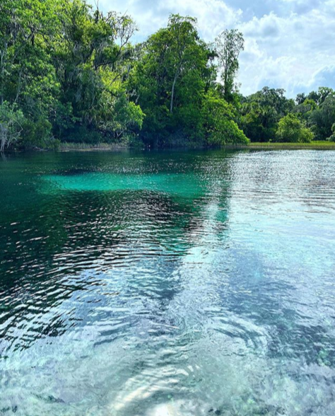 The best type of #socialdistancing is where you can do it in kayaks on crystal, clear water found in #RainbowSpringsStatePark. Trust us, it is incredible! Look at these views. visitrainbowsprings.com/hours-and-fees/

📷: @ rudeneja.am