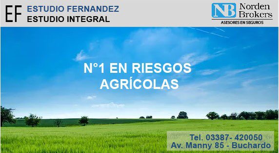 JuanMartinFdez's tweet photo. En está nueva campaña gruesa, Estudió Fernández empieza a ofrecer un nuevo servicio en la zona; Seguros Norden Brokers.

 Más  información https://t.co/8G2fwsrXQX https://t.co/Vmhb6oddrI