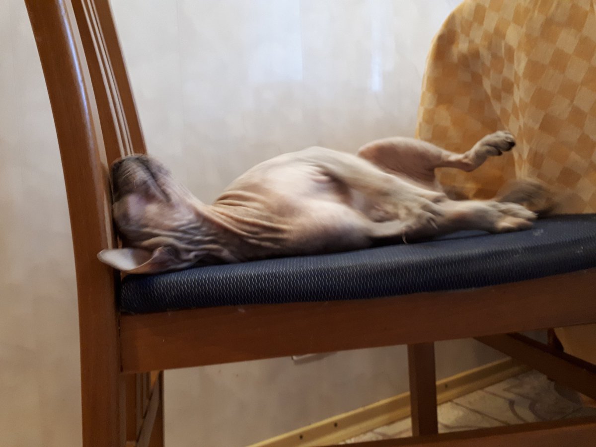 Давно не было лысой киски в #нюдсочетверг. Всем хорошего четверга и прекрасных выходных. 
П.с. кто лезет с политикой во все хештеги - зачем ?