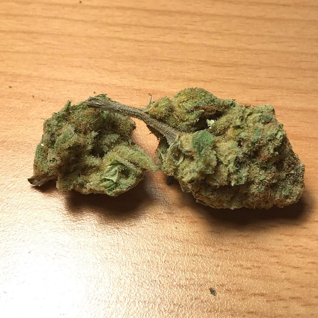 word_weed's tweet photo. Hmu for your inquiries or orders ! #cannabis #StonerNation #STONER #Cannabis #legalizeit #weed #weedPosts #stonernation #Hightimes #Stonerthoughts #THCVibes420 #weedporn #weedpics #WeedTweets #LegalizeMarijuana https://t.co/jwkfrRh6GV