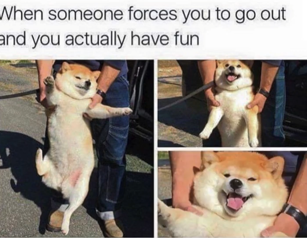 WholesomeMeme's tweet photo. https://t.co/cwL9Se33U6