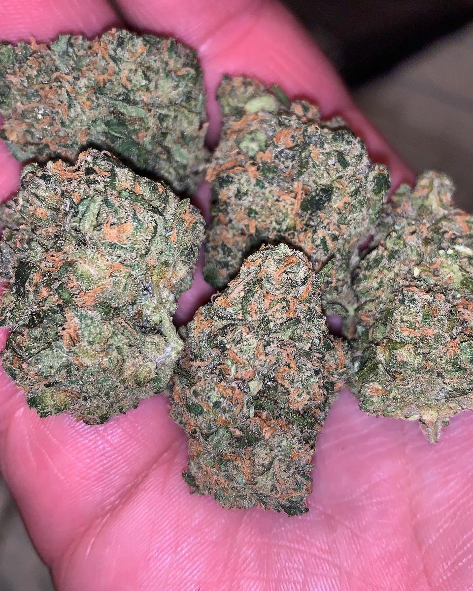 word_weed's tweet photo. Top shelf buds on desk !! #cannabis #StonerNation #STONER #Cannabis #legalizeit #weed #weedPosts #stonernation #Hightimes #Stonerthoughts #THCVibes420 #weedporn #weedpics #WeedTweets #LegalizeMarijuana https://t.co/eeUbNCLAiP
