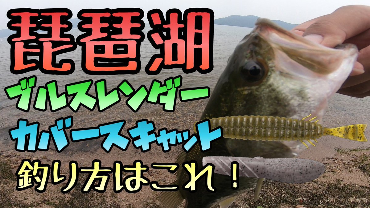 琵琶湖バスフィッシング