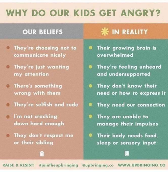 acostacastro10's tweet photo. A great perspective for parents when analyzing behavior. #knowthefunction #itshalfthebattle @Gina36811099 @CoralParkElemS https://t.co/wlNbMEApM3