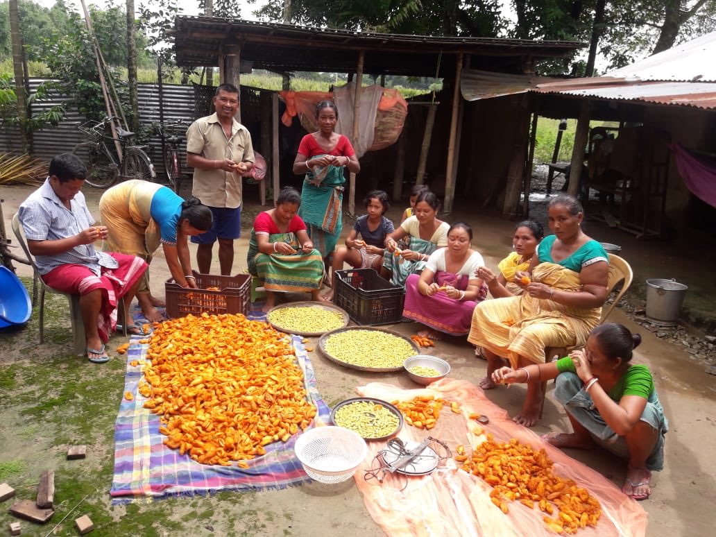 DeuriJogesh's tweet photo. Eri culture, Kokrajhar BTC,Assam https://t.co/K13G3dNFks