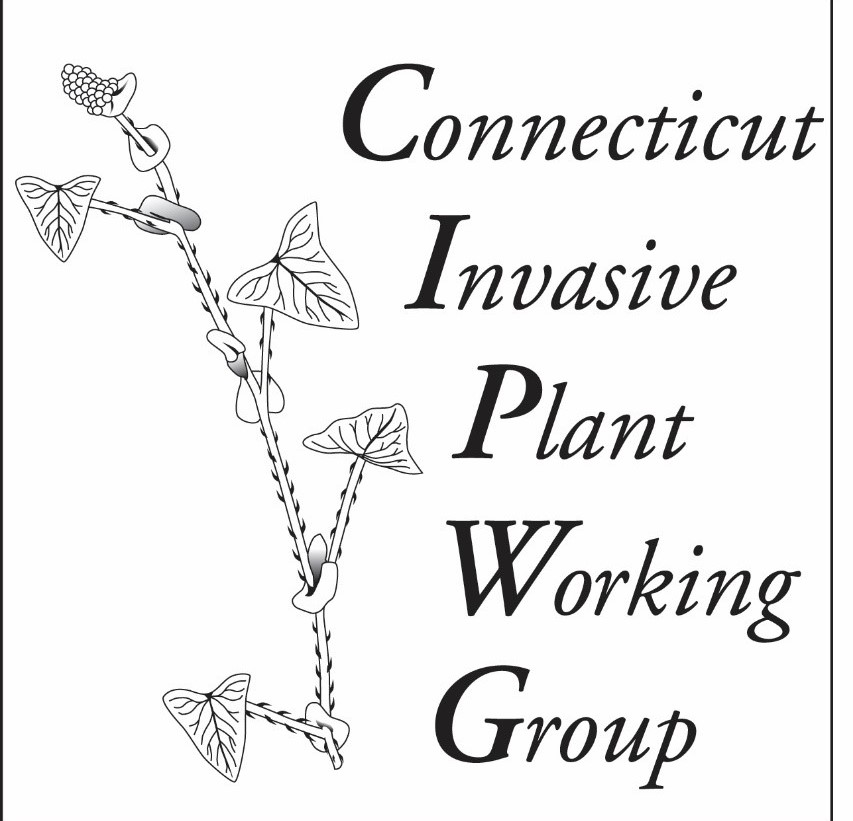 CT_CAES's tweet photo. Virtual Invasive Plant Symposium, Oct. 7, 2020--
The Connecticut Invasive Plant Working Group (CIPWG) 2020 symposium will be a full-day virtual webcast on Oct. 7. More info: https://t.co/fiuW0JwvM7 https://t.co/Ma5KQRPoFk