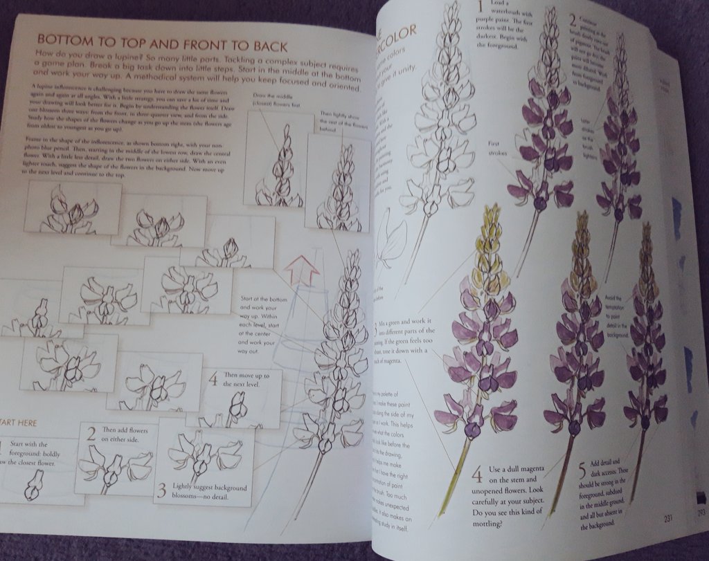 KayleighJPeace's tweet photo. very excited to give drawing another shot with my new copy of The Laws Guide to Nature Drawing and Journaling! https://t.co/I9gjVsbytn