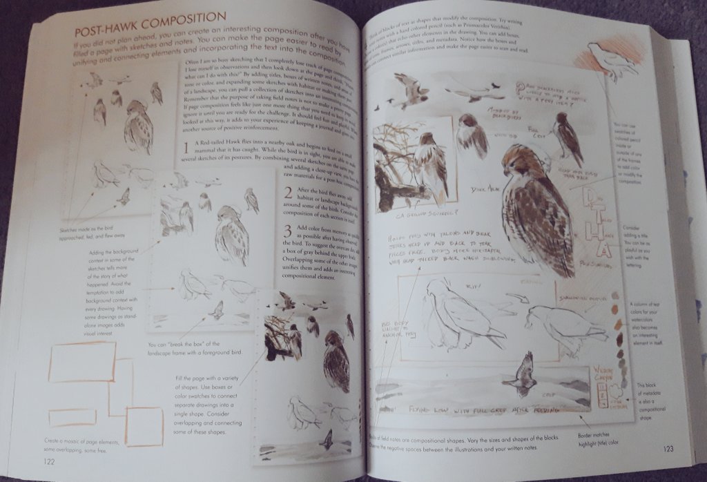KayleighJPeace's tweet photo. very excited to give drawing another shot with my new copy of The Laws Guide to Nature Drawing and Journaling! https://t.co/I9gjVsbytn
