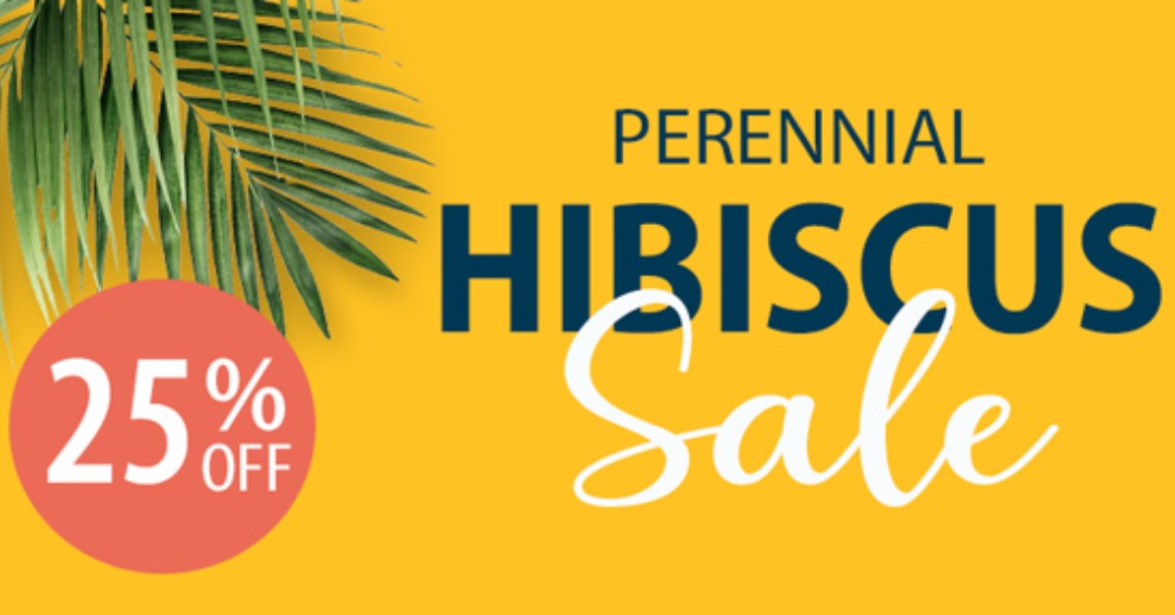 Malmborgs Greenhouse tweet media