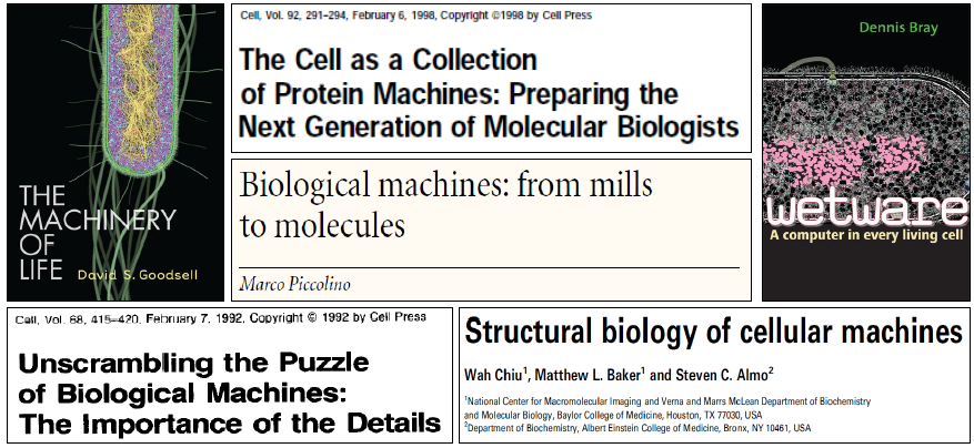 It follows that we should avoid distorting biological reality by construing it in engineering terms. I examine 4 key metaphors (genetic program, cellular circuitry, molecular machine & molecular motor) & show that their deficiencies ultimately derive from their neglect of scale/6
