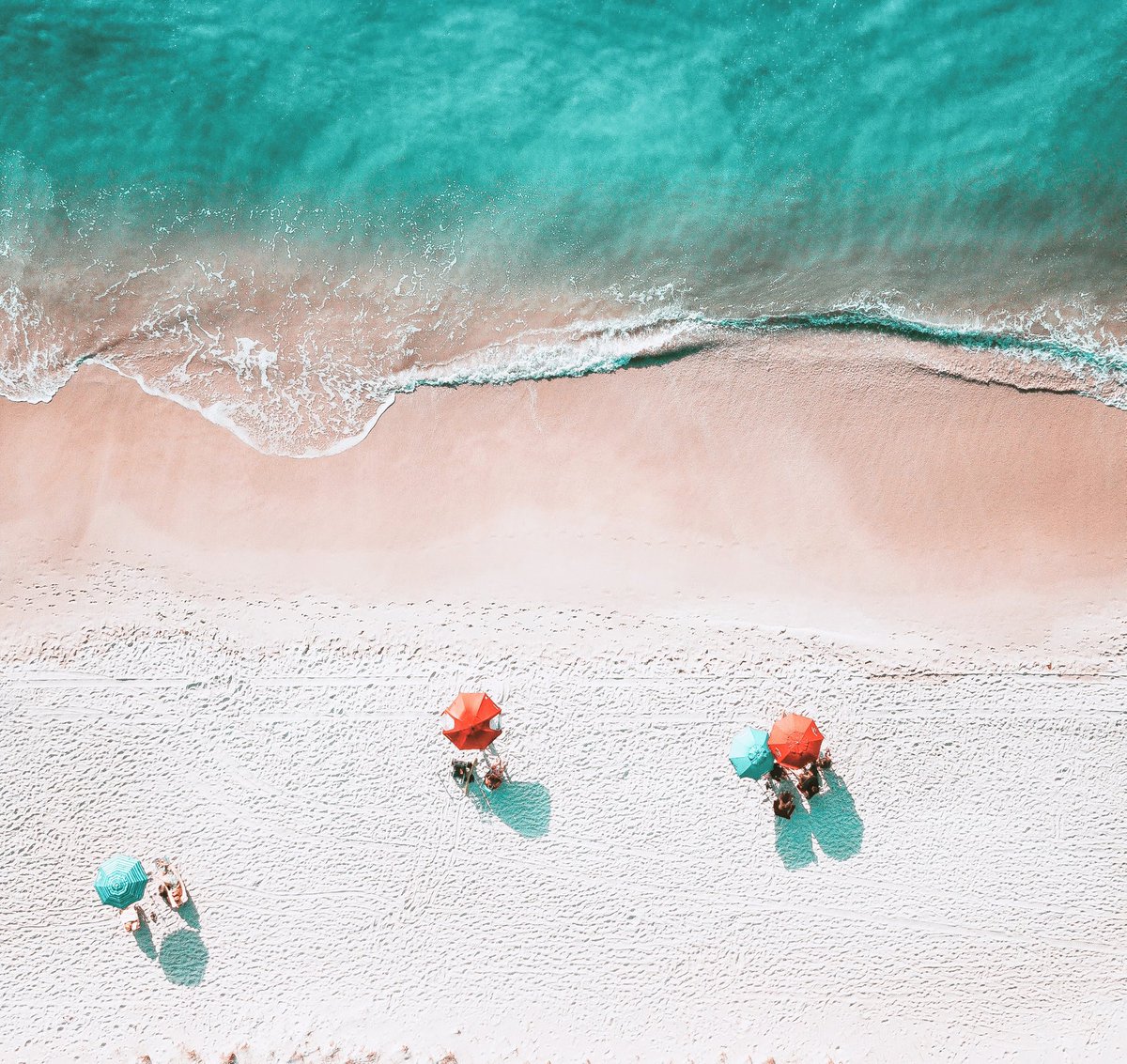 True or False:

You need a big audience to sell online.

A: False!

We've had multiple clients with fewer than 500 followers generate leads &amp; sales directly from Instagram.

Questions about your online strategy? Schedule a 60-minute coaching call:

bluewhalecommunications.as.me/powerhour