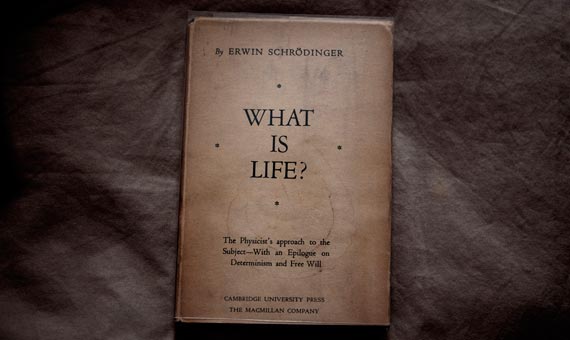 So how did we come to forget (or felt it was OK to disregard) the impact of scale? The answer, I suggest, has to do with the influence of Schrödinger’s argument in his famous book What is Life? regarding the remarkable stability of genes in the face of stochastic perturbations/13