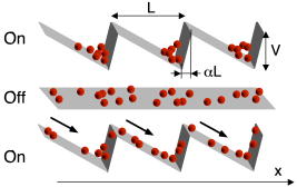 Motor proteins are compared to mechanical motors, but their microscopic environment prevents them from moving by coordinated power-strokes. For molecules, moving deterministically is like trying to walk in a hurricane. Alternative models, like the Brownian ratchet, are needed/12