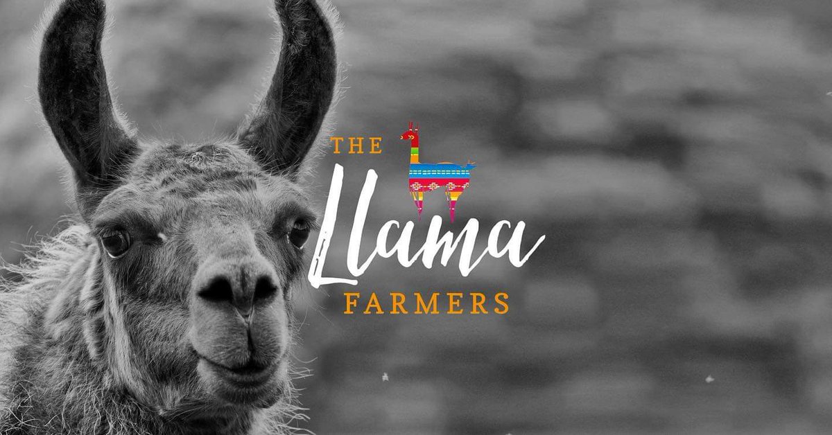 thellamafarmers's tweet photo. Welcome to our Twitter! 

We will introduce ourselves properly over the next few days but in the meantime you can head over to our BRAND NEW WEBSITE to find out a little more about us.

https://t.co/ZvovnWIeVm

#farm24 #farm #agriculture #meatbox  #Sustainable #food #WelshLamb https://t.co/OaUjVmrMHp