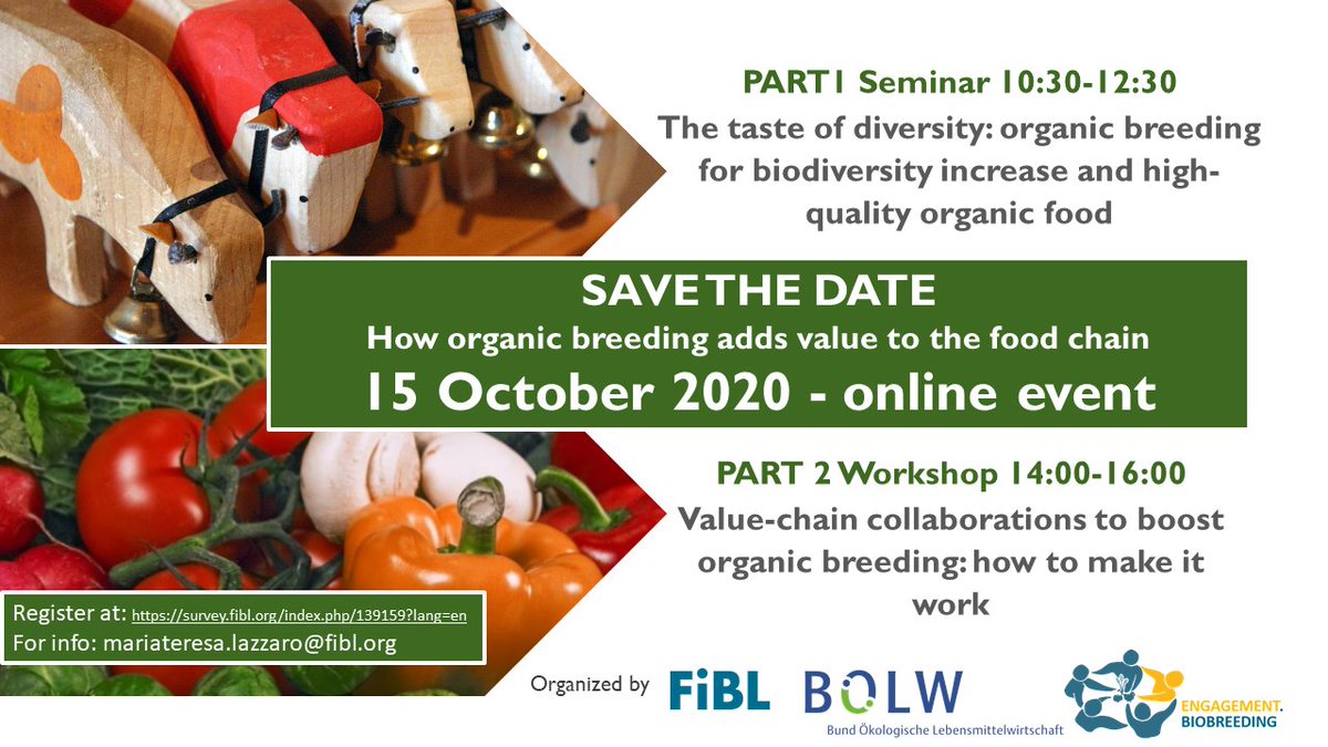 fiblorg's tweet photo. Organic breeding provides benefits to the organic sector - Online event with participants from #industry #breeding #research https://t.co/6S6dOwtXE8 #biobreeding #ValueChainPartnership @FiBLBreeding @boelwtermine https://t.co/QZqgy88K0m