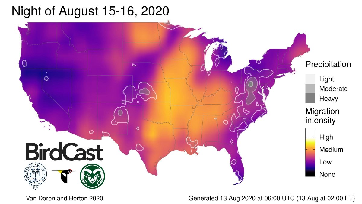 We're back for the fall! Bird migration will start to heat up this weekend. Forecasts at birdcast.info.