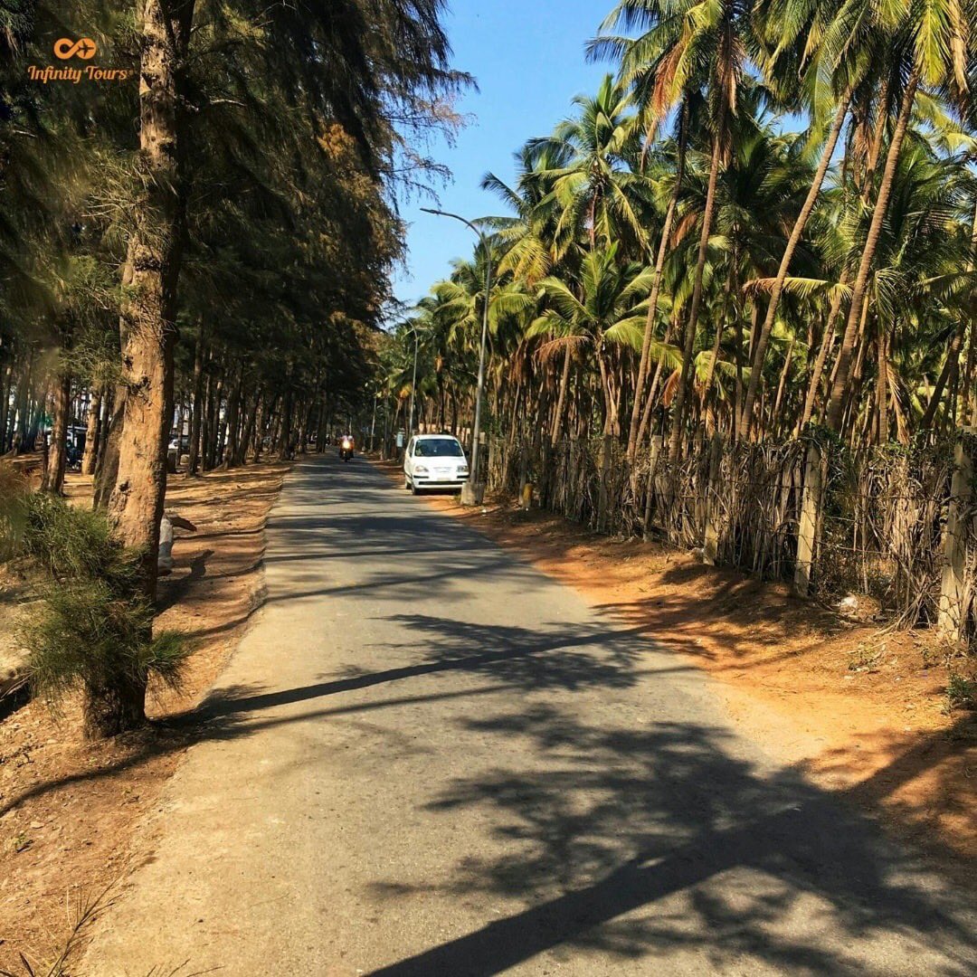 Tropical state of mind!🌴
There is nothing like an ocean breeze and the sound of palm trees rustling in the wind😍
#daman

.

#infinitytourz #tour #tropical #india #palmtrees #damananddiutourism #indiatouristplaces #indiatourismofficial #damananddiudiaries #damantourism #travel