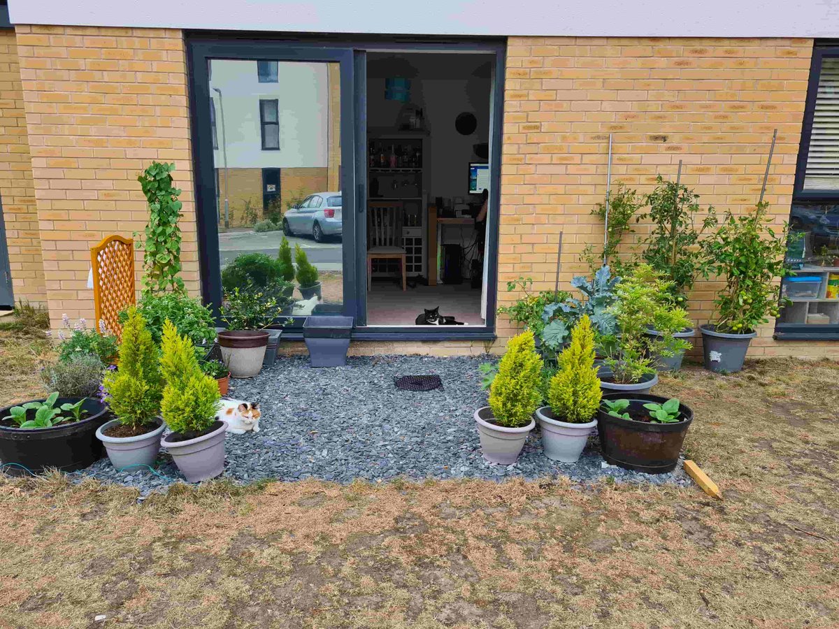 DrJonHastie's tweet photo. These few plants have helped me and my husband get through shielding (due to my DMD) and a very difficult time for our mental health. @Clarion_Group are insisting they be removed. We've tried to make it pretty for everyone to enjoy. Why is this so wrong? @EllieEmberson https://t.co/XQVv3TrpMG
