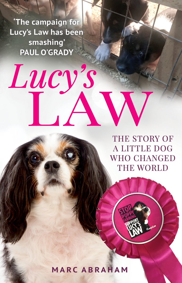 It's Friday Freebie time! #fridayfreebie

Retweet and Follow to win a signed copy of #lucyslaw 

Now that I have your attention please show our support to #BanPuppyImports here in the UK link here ---- petition.parliament.uk/petitions/3262…