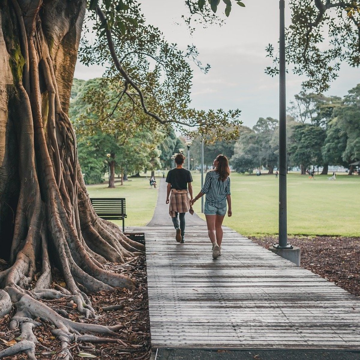 ETMSarasota's tweet photo. There are over 600 muscles and joints in the human body. Make sure you exercise them! #elementsmassage #muscles #body #exercise #move #outdoors https://t.co/Lfa3Ct6X9Z