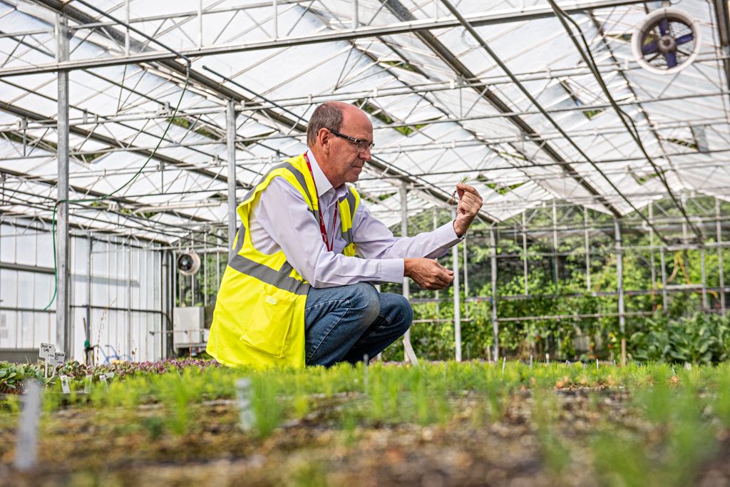 Elsomsseeds's tweet photo. We have a mini #woodland here at #Elsoms after conducting Scottish tree #seedtrials for @forestryls with 4,875 #trees in our glasshouses! 🌲🌳 https://t.co/BfCn0ZkeXP

To find out how our seed treatments can improve your #seedquality, email phillip.ayres@elsoms.com

#elsomsseeds https://t.co/XehxjHnIHq