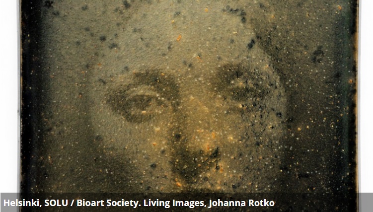 POSTINTERFACE's tweet photo. [exhibition] 📌 Helsinki, SOLU / Bioart Society. Living Images, Johanna Rotko 🟢#bioart #Biotechnology
https://t.co/bcUZK78UtM https://t.co/OrxgR6SuZn