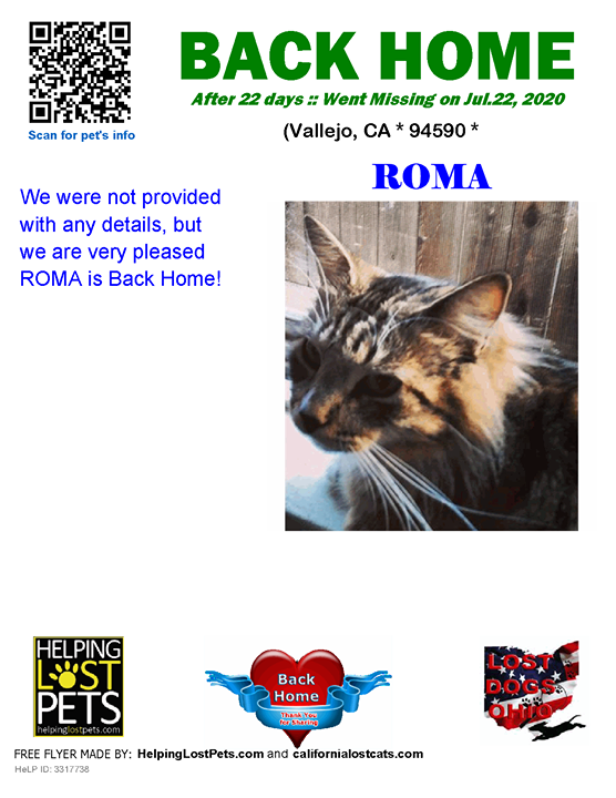 CALostCats's tweet photo. Welcome Home Roma! https://t.co/67Onl4Kpgv