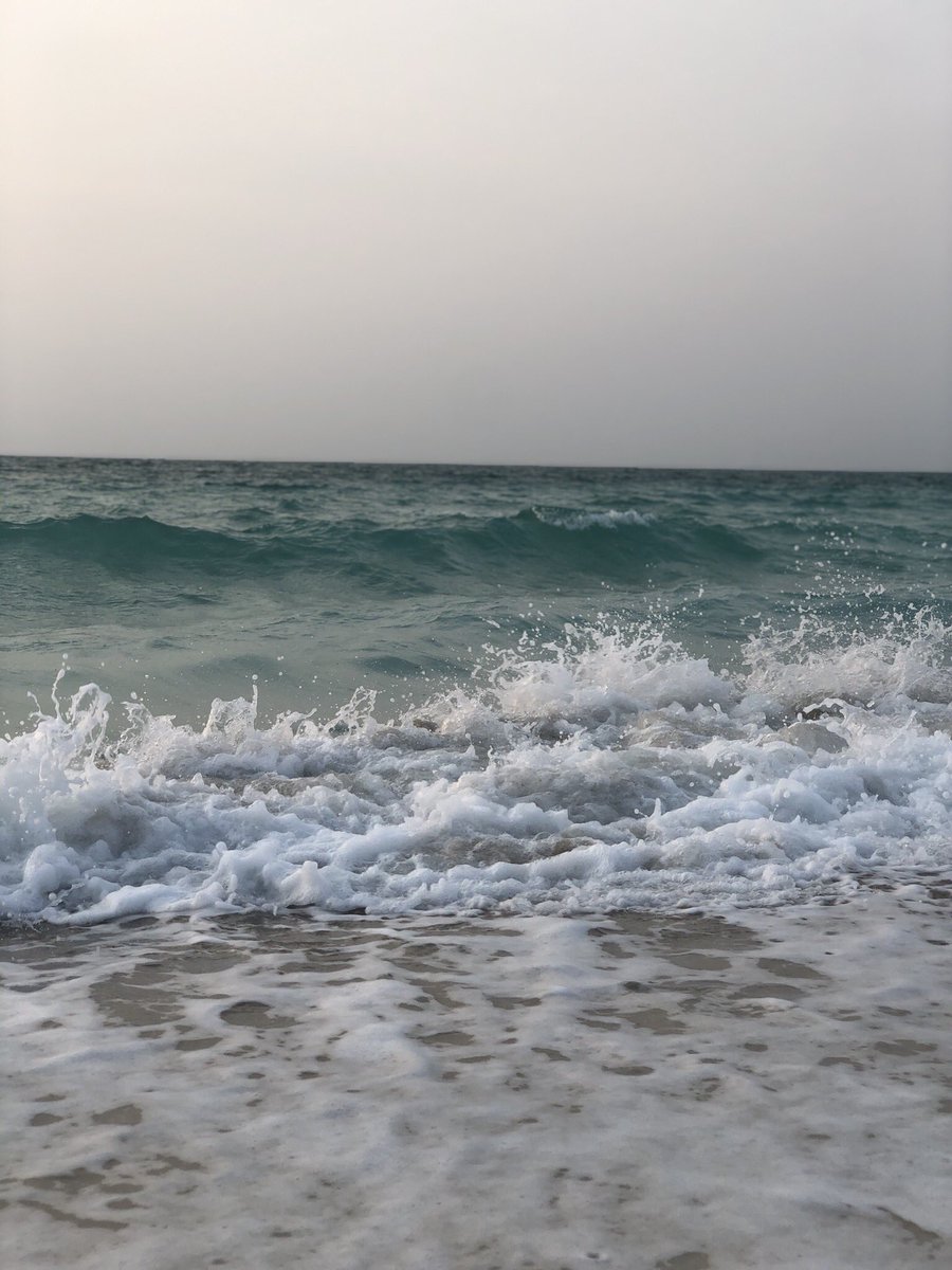 marwah1_'s tweet photo. Saadiyat beach https://t.co/RX9hv0jv8W