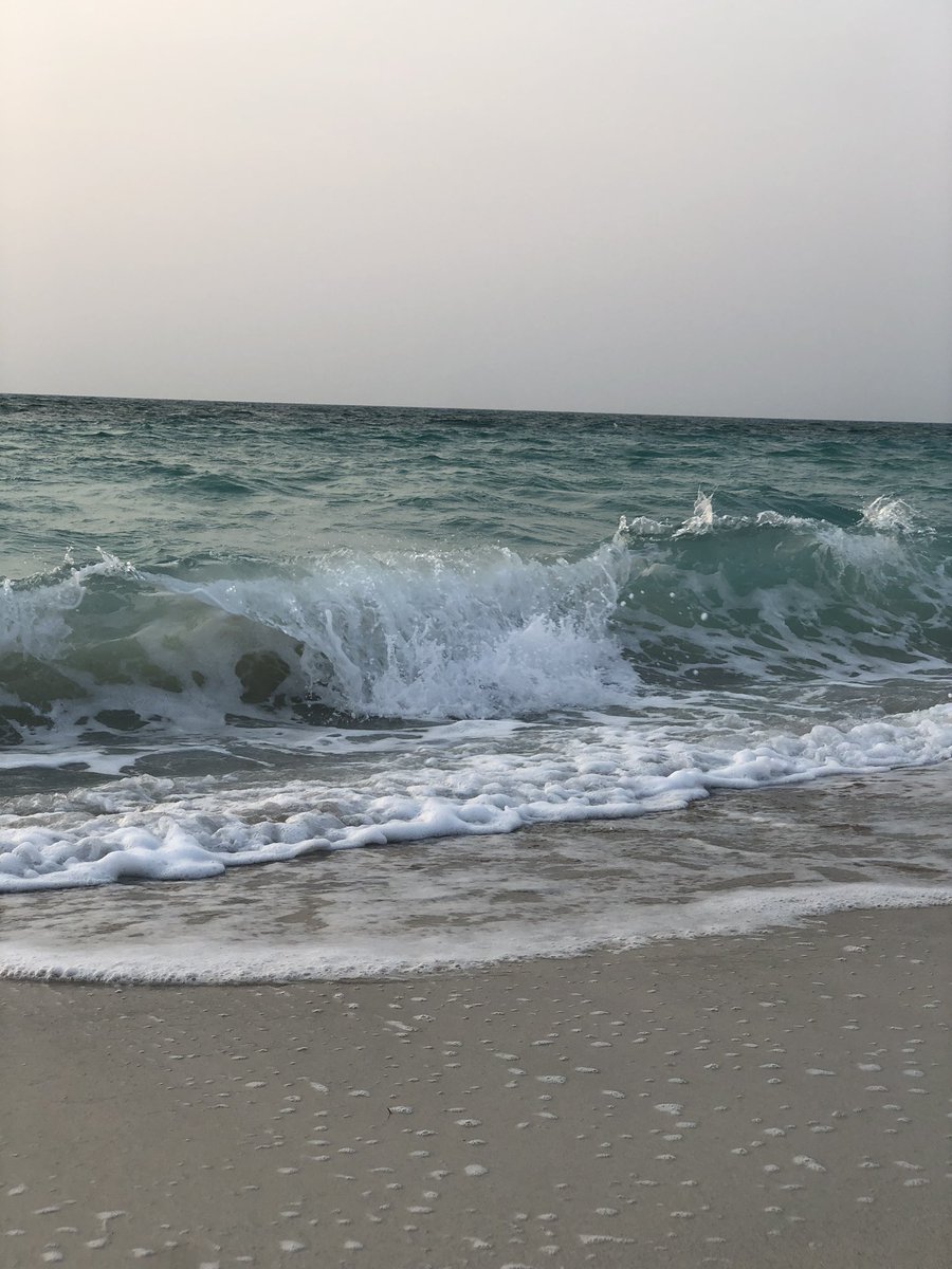 marwah1_'s tweet photo. Saadiyat beach https://t.co/RX9hv0jv8W