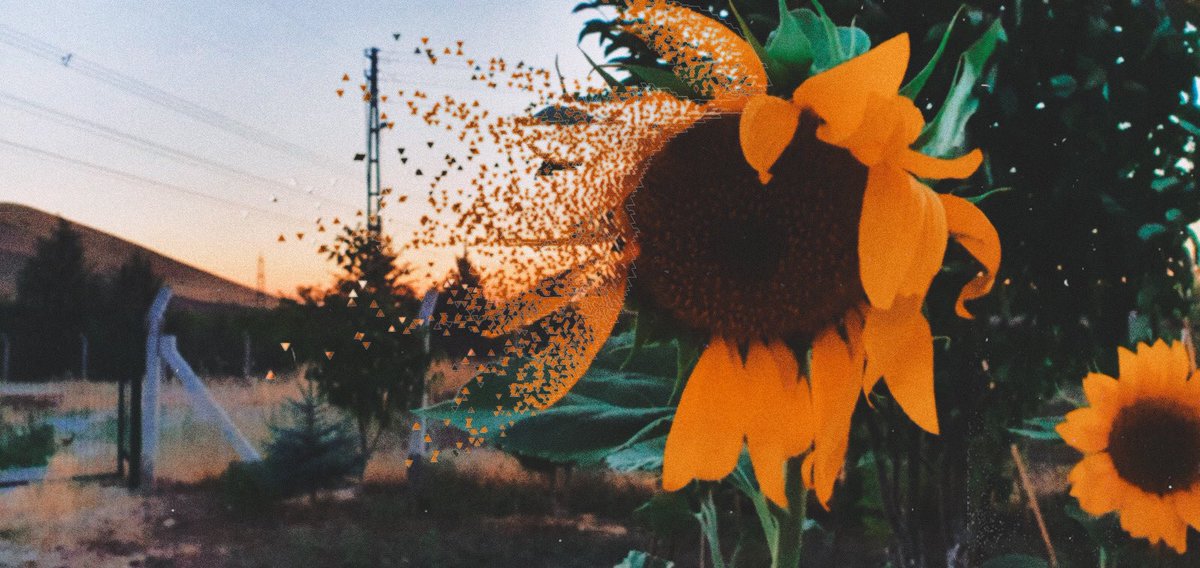 Bazen,birşeyleri gözümde çok büyüttüğümü farkedince,o şeylerin ederini istesem bile veremiyorum. Tutamıyorum,düşüyor,gidiyor içimden.

#Persembe 
#