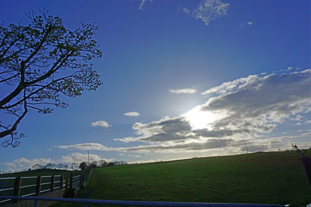 How to walk for weight loss #walking #healthylifestyle #healthy #Wellbeing #wellnesstips #wellness