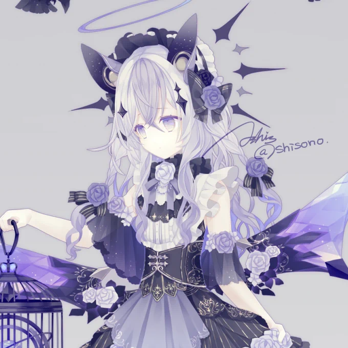 night 
