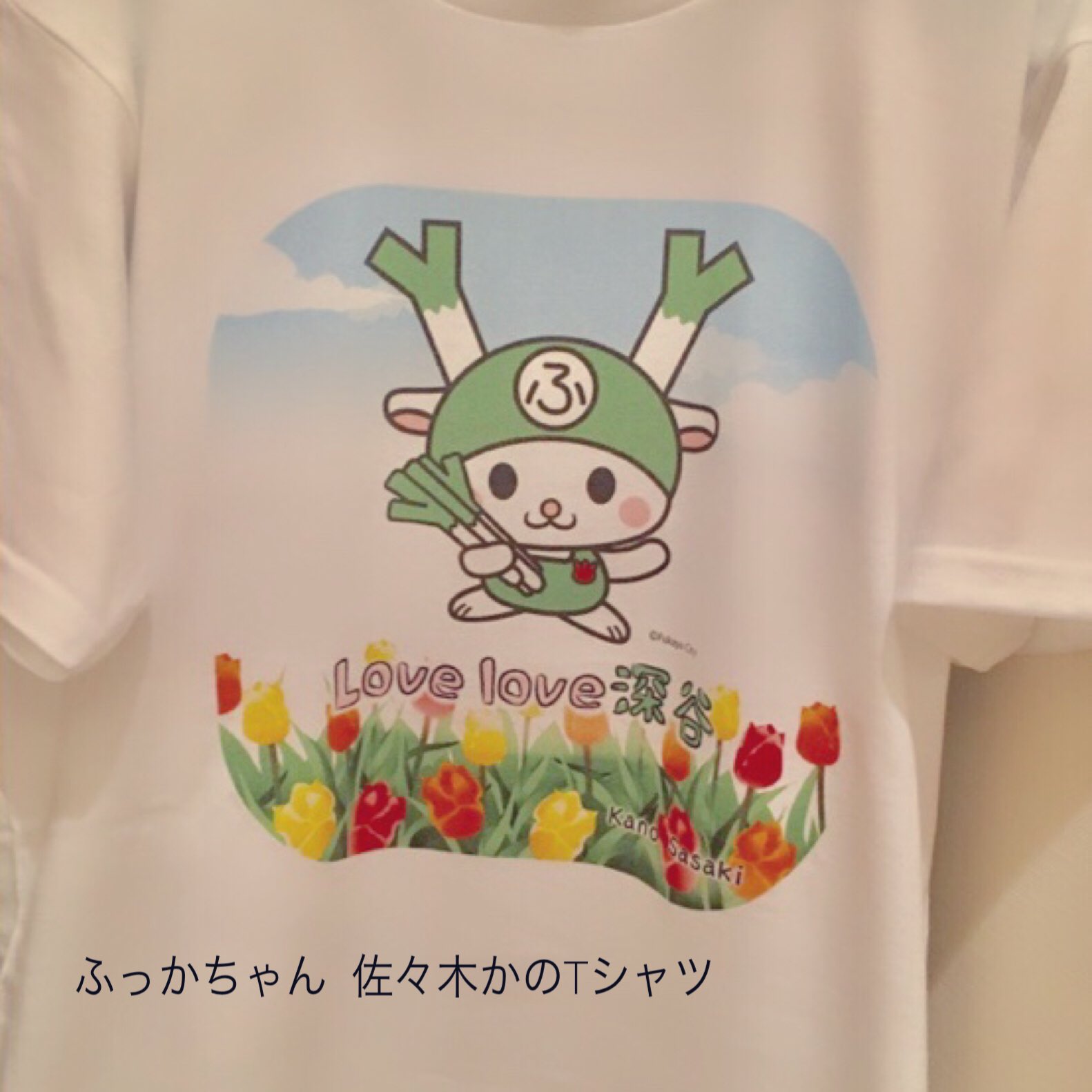 ありぴ ふっかのtシャツ ふっかちゃんに会いに行く回 途中でお着替えした深澤さん ふっかちゃんtシャツ その こっちはカラフル 艸 ふっかちゃんグッズを爆買いしたふっか そういうとこ 好きです は すのちゅーぶ Snowman 深澤