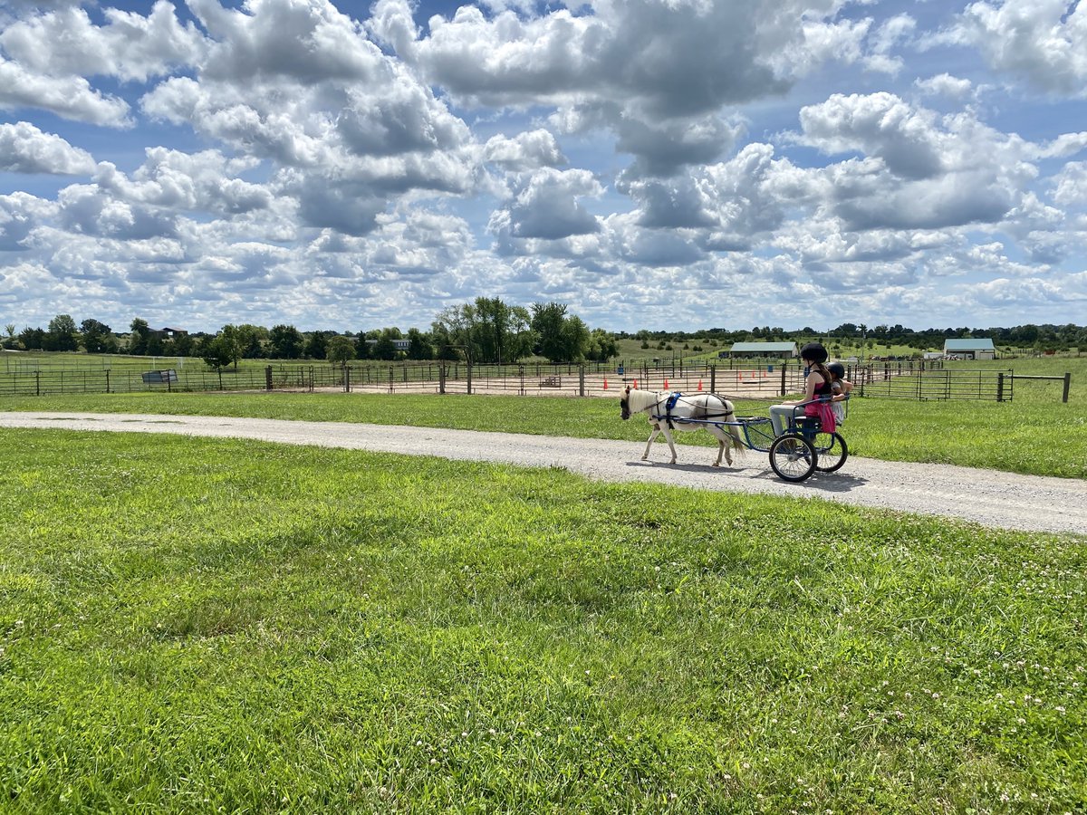 coyotehillkids's tweet photo. An afternoon driving the pony cart is an afternoon well spent. #fostercare #equineprogram https://t.co/lQxJDeADoV