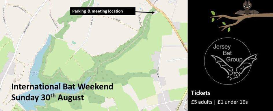 JerseyBatGroup's tweet photo. The Jersey Bat Group will be taking part in the International Bat Night celebrations by hosting not one but two public bat activity walks on 29th and 30th August. Tickets for 30th August in this link @_BCT_ @JerseyBioCentre @Channel103 @GovJersey
https://t.co/2AqKjnq3cL https://t.co/nEyQvegyae