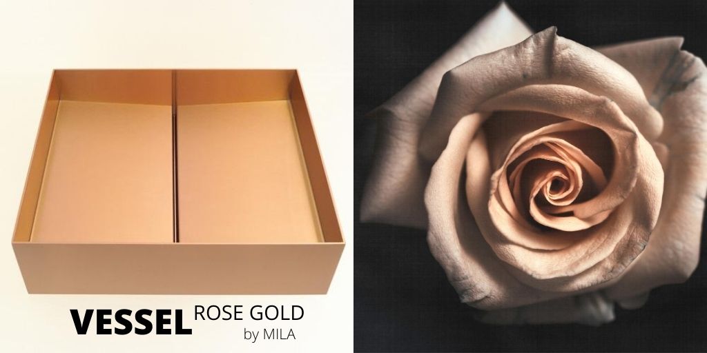 MILA INTERNATIONAL tweet media