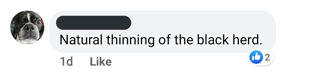 And I mean people who seem to be taking notes from Mein Kampf. And to be clear, most of these are comments to posts made by Dan Hils, all are comments in the police support page he oversees. This is the culture he has fostered.