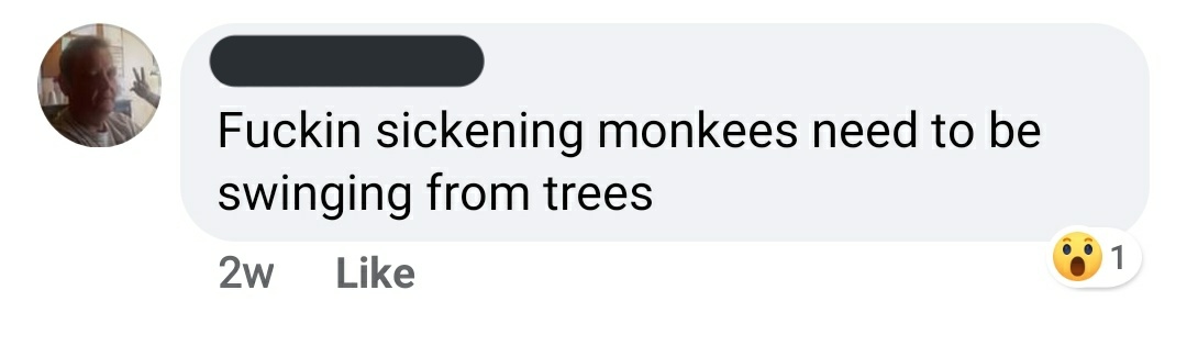 And I mean people who seem to be taking notes from Mein Kampf. And to be clear, most of these are comments to posts made by Dan Hils, all are comments in the police support page he oversees. This is the culture he has fostered.