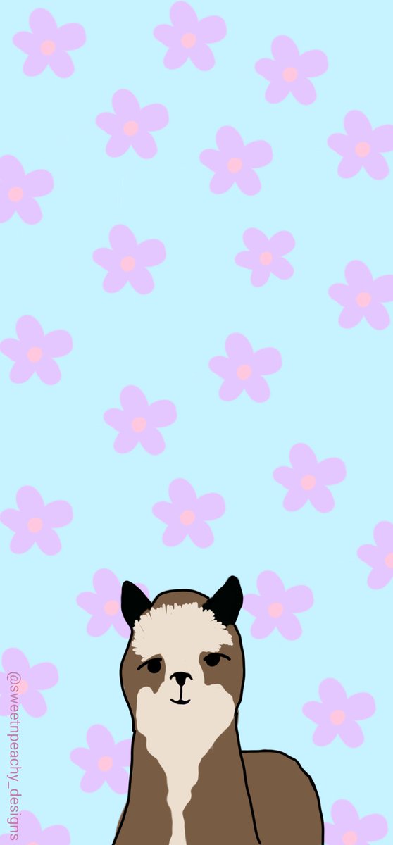 sweetnpeachy_d's tweet photo. This is an adorable alpaca wallpaper with a blue background and purple flowers!!!!
#alpaca #alpacasofinstagram ##alpacawallpaper #floralwallpaper #floraldesigns #animalwallpaper #phonewallpapers #wallpaperphonebackgrounds #backgrounds #backgroundwallpapers #phoneart https://t.co/wYBFdKOsUu