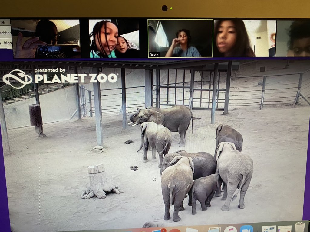 MsMarra213's tweet photo. Today, we took a virtual field trip at the @sandiegozoo. We had so much fun learning about all the animals!! It’s truly amazing to be able to see the animals on the live cam! The excitement from the kiddos was so adorable!! Thanks for a great time San Diego Zoo!! @LBPSsummer2020 https://t.co/EhW75huoGZ