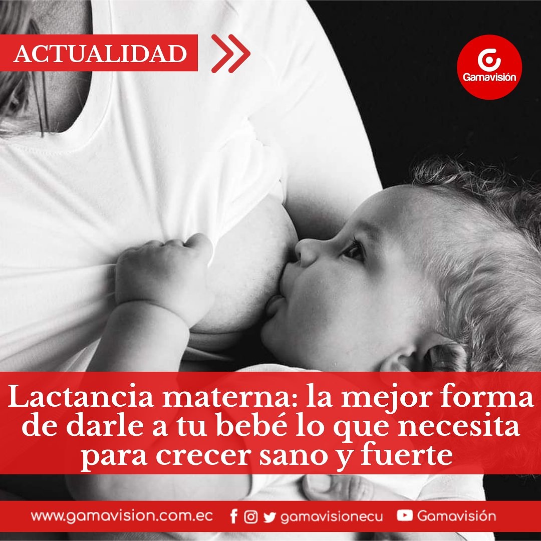GamavisionEcu's tweet photo. #ACTUALIDAD : La lactancia materna es quizá uno de los vínculos más fuertes entre una madre y su hijo; este alimento es ideal para los bebés, al menos hasta los seis primeros meses de vida, así lo recomienda la OMS.
¿Quieres saber más?  📲 https://t.co/8FpeEJfQ0t https://t.co/Pf88IyTliQ