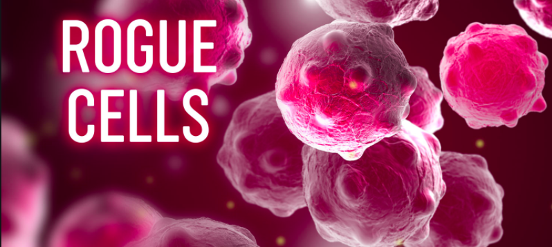 Care4Cbd's tweet photo. CBD and the Immune System!
https://t.co/qZr73AwLDG #care4cbd #care4health #care4u
It woud seem CBD has a double-punch effect of 1) direct killing of rogue cells and 2) enhancing immunity by suppressing those immune cells that serve to hold back the immune-based killing cells. https://t.co/TJCmoVUEK5
